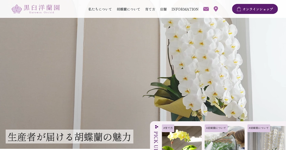 らんやTIMESの ホーム