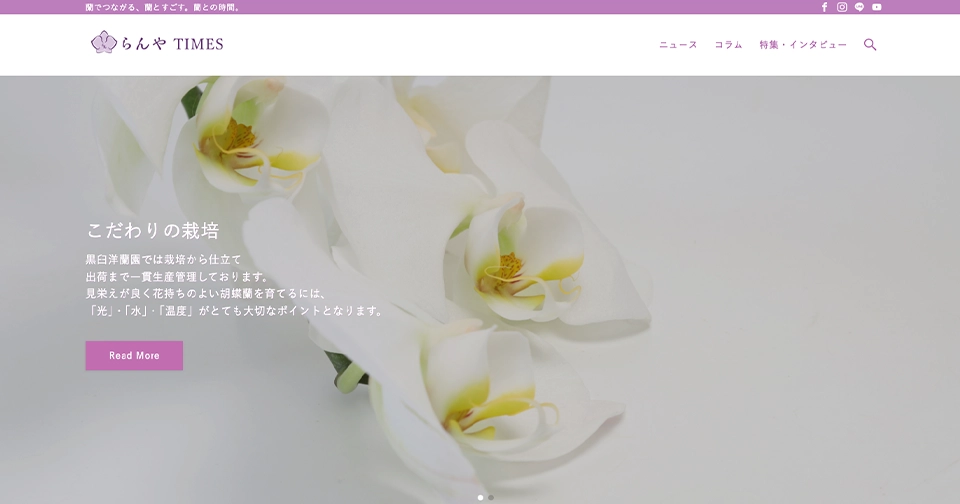 らんやTIMESの ホーム