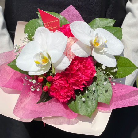 母の日にミニ胡蝶蘭