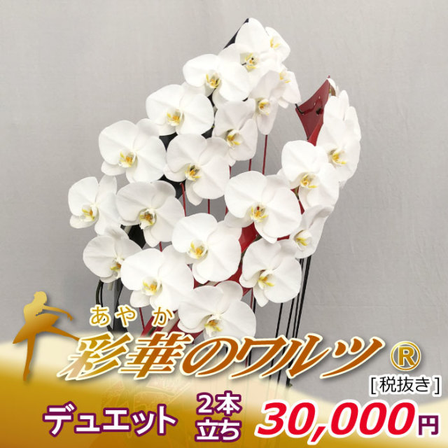 デュエット