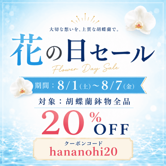 胡蝶蘭専門店【らんや】｜お祝い胡蝶蘭のギフトなら黒臼洋蘭園の通販で