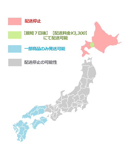 胡蝶蘭 白 5本立ち60輪程度 生花 ｜お祝いギフトなら胡蝶蘭専門店