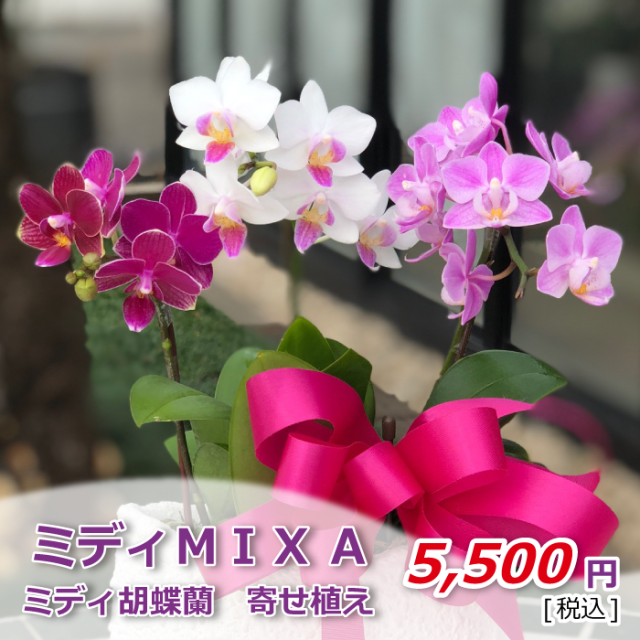 ミディMIXA