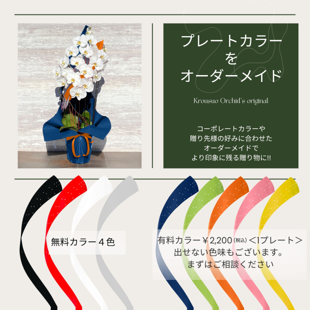 プレートカラーをオーダーメイド
