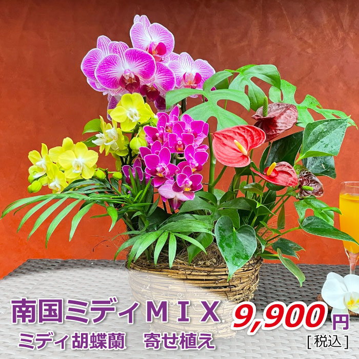 南国MIX