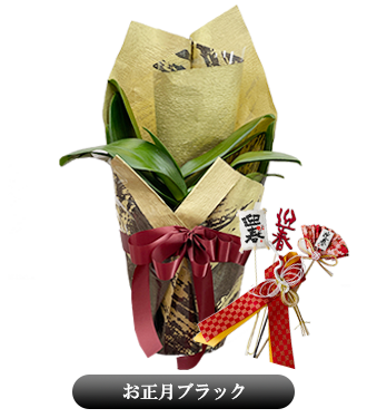お正月ラッピング黒