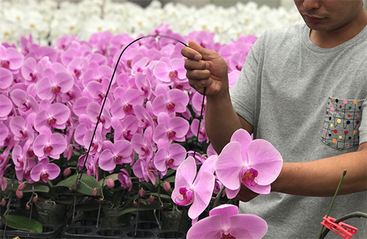 商品が出荷されるまで らんや T I M E S