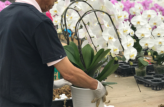 商品が出荷されるまで らんや T I M E S