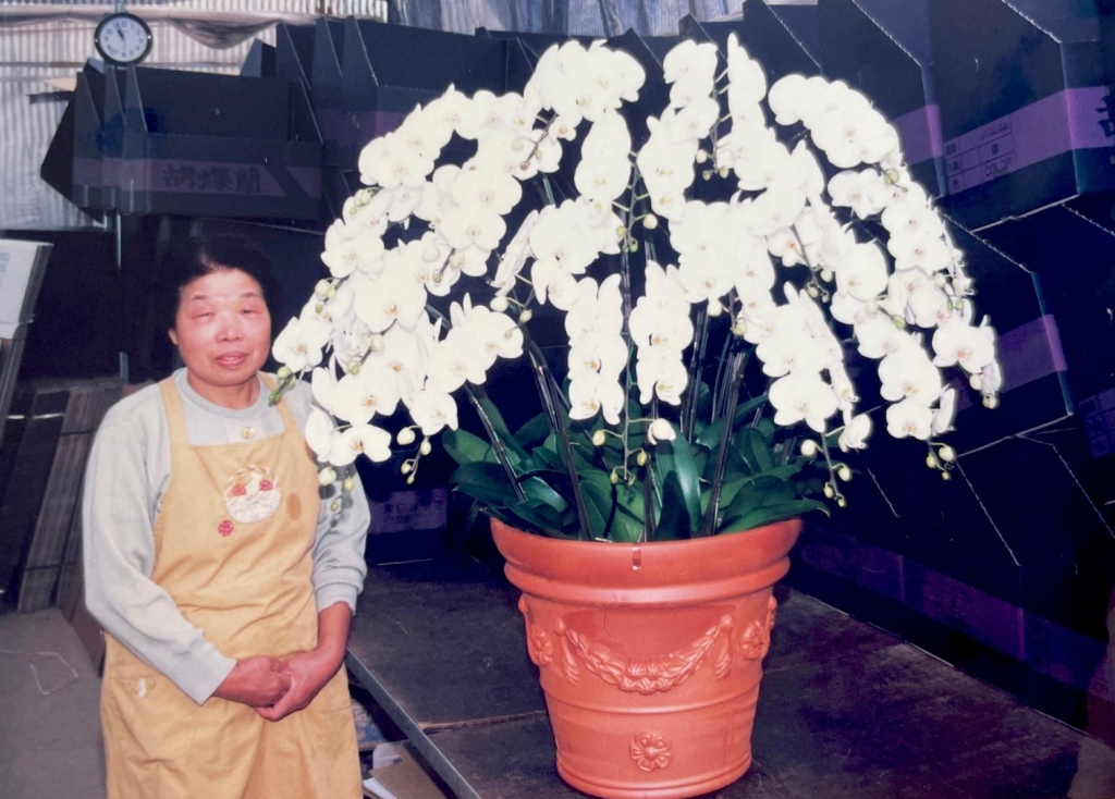 黒臼洋蘭園の母多喜さんと胡蝶蘭