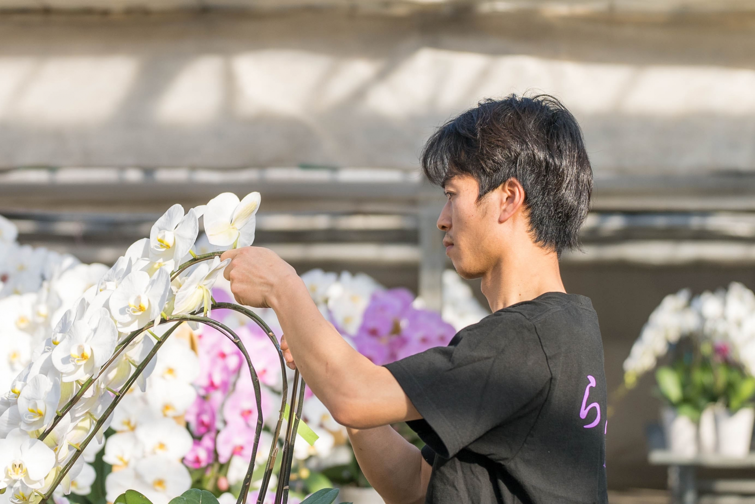 私たちが胡蝶蘭を届ける！黒臼洋蘭園を支えるキーマンの素顔に迫る