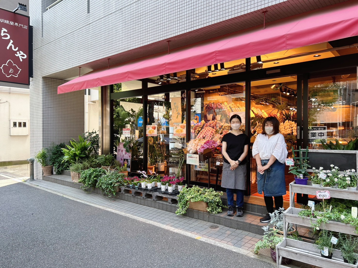 東京都内の胡蝶蘭専門店「らんや 小石川店」 – らんや T I M E S